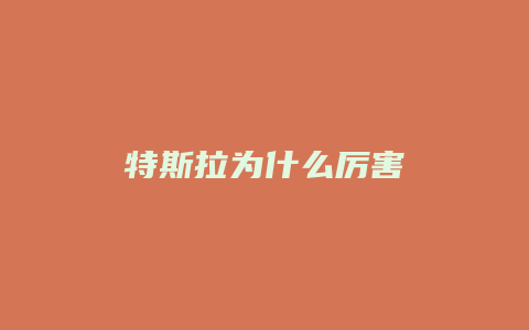 特斯拉为什么厉害