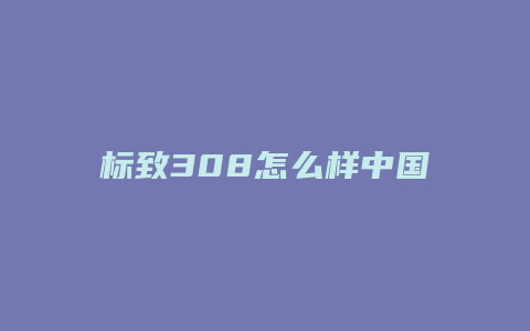 标致308怎么样中国特供车