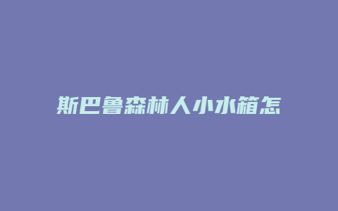 斯巴鲁森林人小水箱怎么卸