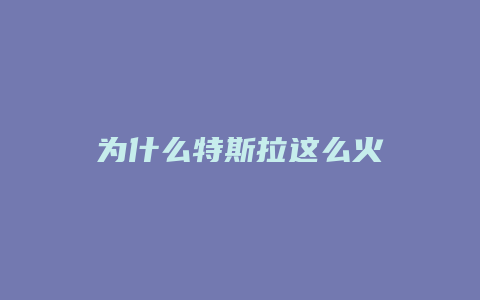 为什么特斯拉这么火