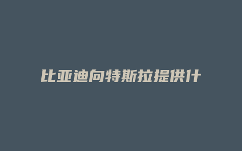 比亚迪向特斯拉提供什么