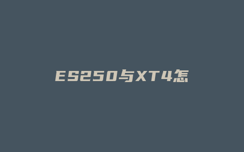 ES250与XT4怎么选