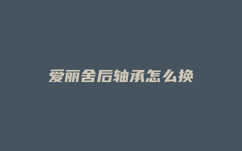 爱丽舍后轴承怎么换