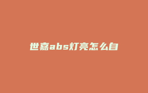 世嘉abs灯亮怎么自己排除故障