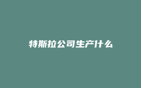 特斯拉公司生产什么