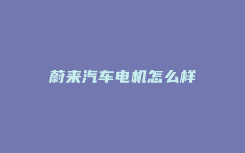 蔚来汽车电机怎么样