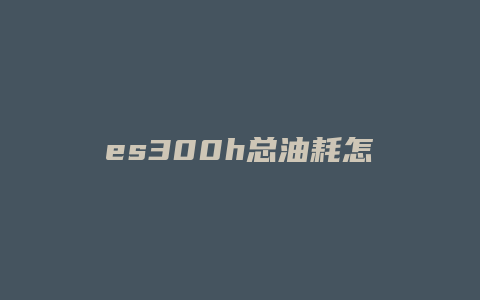 es300h总油耗怎么看