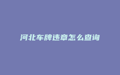 河北车牌违章怎么查询系统