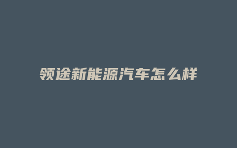 领途新能源汽车怎么样