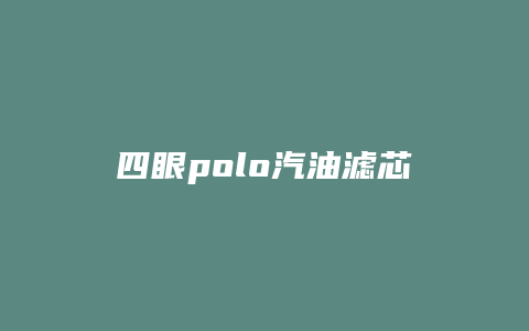 四眼polo汽油滤芯怎么换