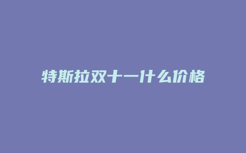 特斯拉双十一什么价格