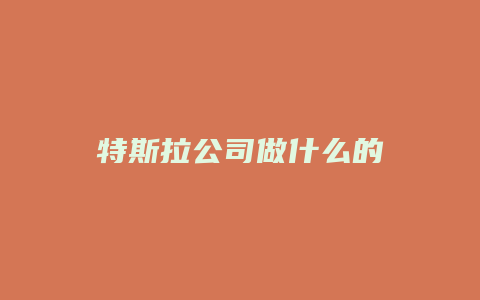 特斯拉公司做什么的