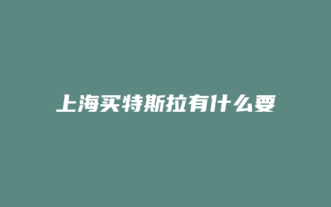 上海买特斯拉有什么要求