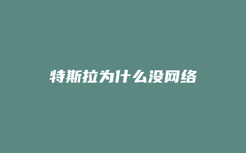 特斯拉为什么没网络