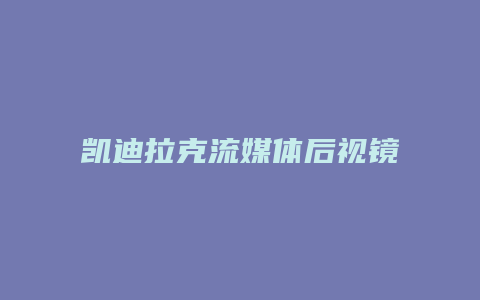 凯迪拉克流媒体后视镜怎么开