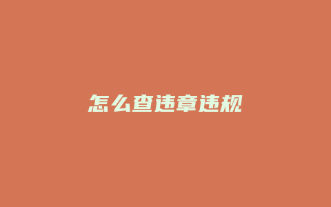 怎么查违章违规