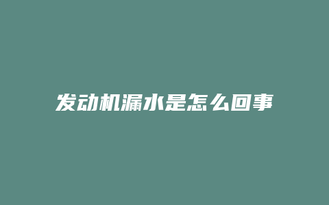 发动机漏水是怎么回事又看不到漏