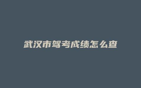 武汉市驾考成绩怎么查询系统