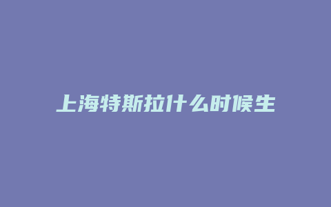 上海特斯拉什么时候生产