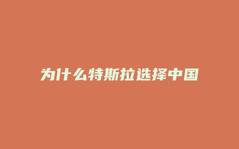 为什么特斯拉选择中国