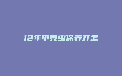 12年甲壳虫保养灯怎么归零