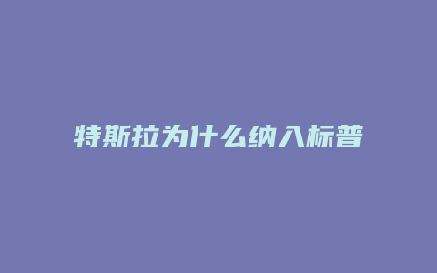 特斯拉为什么纳入标普