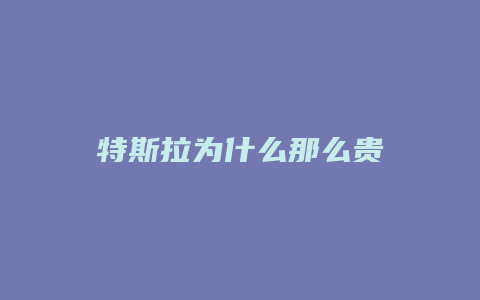 特斯拉为什么那么贵