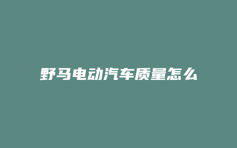 野马电动汽车质量怎么样