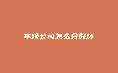 车险公司怎么分好坏