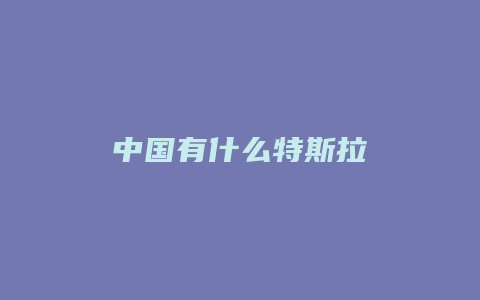 中国有什么特斯拉