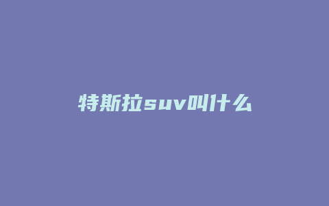 特斯拉suv叫什么