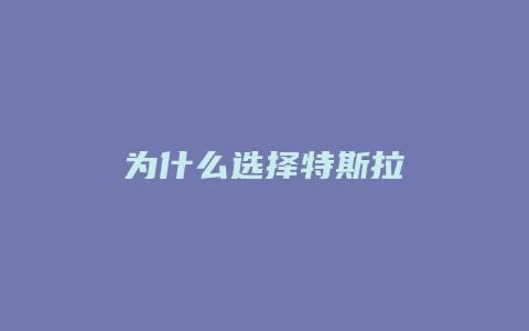 为什么选择特斯拉