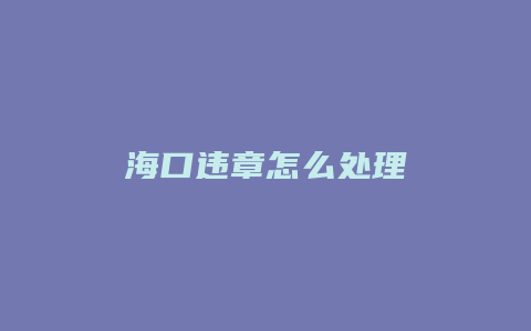 海口违章怎么处理