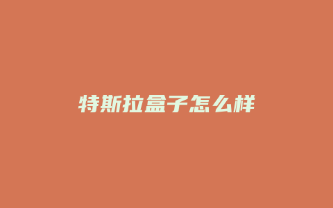 特斯拉盒子怎么样