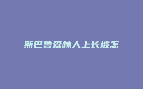 斯巴鲁森林人上长坡怎么开