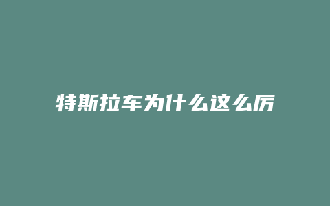 特斯拉车为什么这么厉害