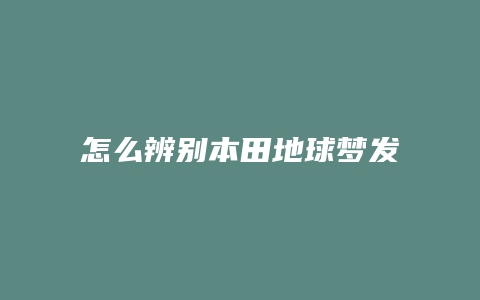 怎么辨别本田地球梦发动机