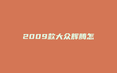 2009款大众辉腾怎么样