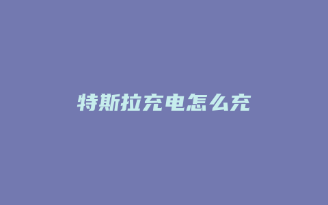 特斯拉充电怎么充