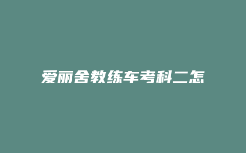 爱丽舍教练车考科二怎么看的点