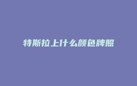 特斯拉上什么颜色牌照