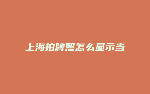 上海拍牌照怎么显示当前价格