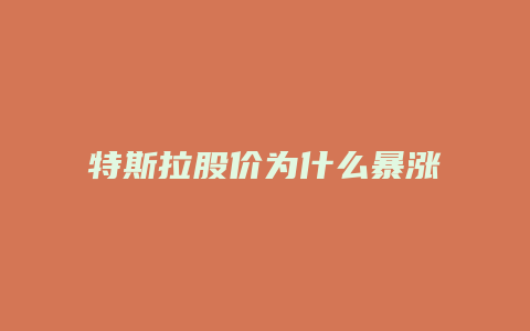 特斯拉股价为什么暴涨