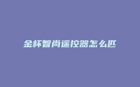 金杯智尚遥控器怎么匹配