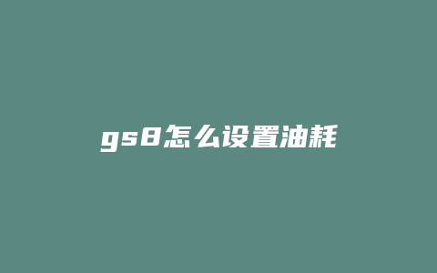 gs8怎么设置油耗