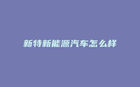 新特新能源汽车怎么样