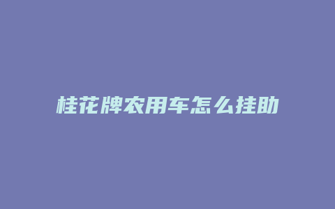 桂花牌农用车怎么挂助档