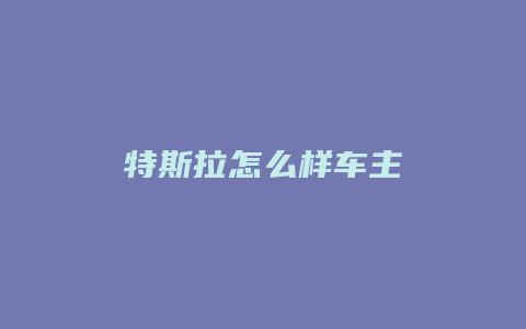 特斯拉怎么样车主