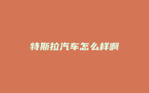 特斯拉汽车怎么样啊