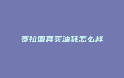 赛拉图真实油耗怎么样